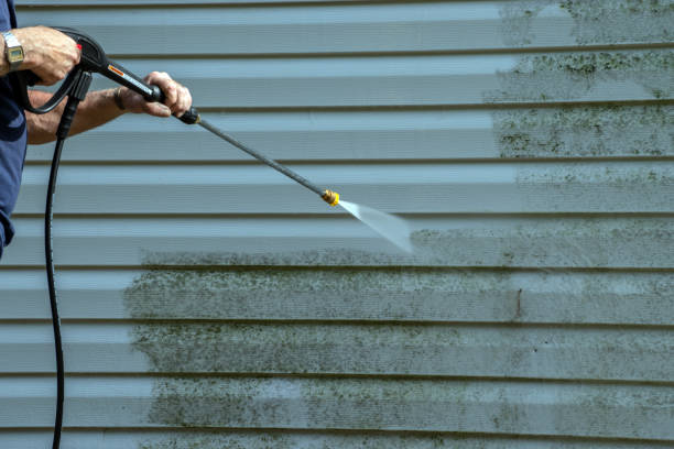 Best Dumpster Area Cleaning  in Las Lomas, TX